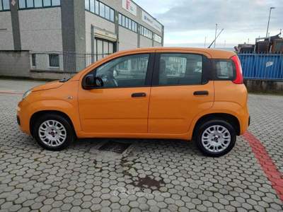 Fiat Panda Panda 1.2 Easy s&s 69cv my19 usata Cassinetta di Lugagnano