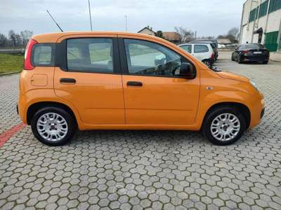 Fiat Panda Panda 1.2 Easy s&s 69cv my19 usata Cassinetta di Lugagnano