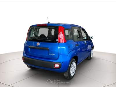 Fiat Panda 1.0 hybrid 70cv icon Blu/Azzurro usata Cerea
