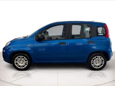 Fiat Panda 1.0 hybrid 70cv icon Blu/Azzurro usata Cerea