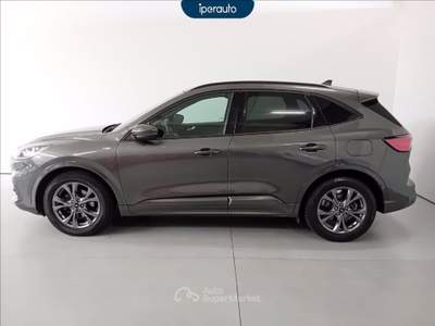Ford Kuga 1.5 ecoblue st-line x 2wd 120cv auto Grigio usata Cava Manara