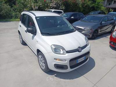 Fiat Panda 0.9 TwinAir Turbo Natural Power Lounge usata San Vittore del Lazio