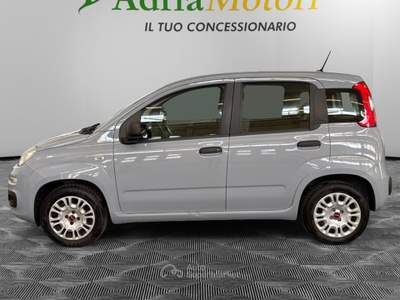 Fiat Panda 1.2 69cv S&S E6d-Temp Lounge Grigio usata Pordenone