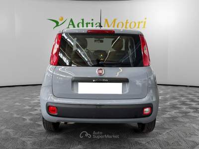 Fiat Panda 1.2 69cv S&S E6d-Temp Lounge Grigio usata Pordenone