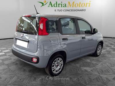 Fiat Panda 1.2 69cv S&S E6d-Temp Lounge Grigio usata Pordenone