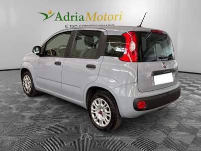 Fiat Panda 1.2 69cv S&S E6d-Temp Lounge Grigio usata Pordenone