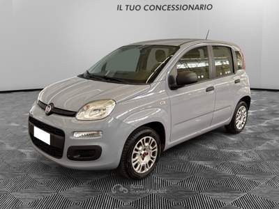Fiat Panda 1.2 69cv S&S E6d-Temp Lounge Grigio usata Pordenone