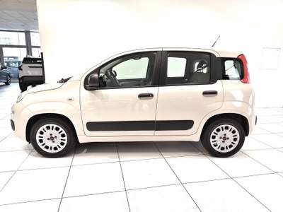 Fiat Panda Panda 1.2 Easy 69cv*99.000 KM* Beige usata Alto Reno Terme