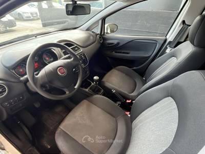 Fiat Punto 1.2 Street 69cv Bianco usata Pordenone