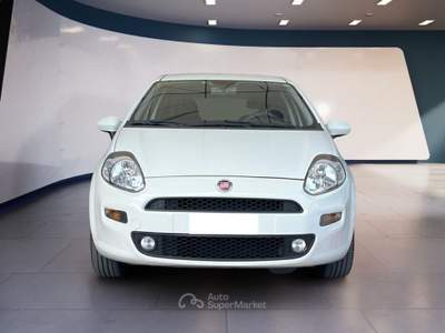 Fiat Punto 1.2 Street 69cv Bianco usata Pordenone