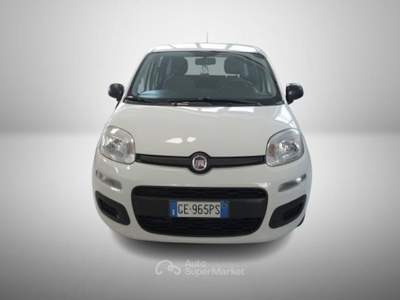 Fiat Panda III 2016 1.2 Easy easypower Gpl 69cv my19 usata Torino