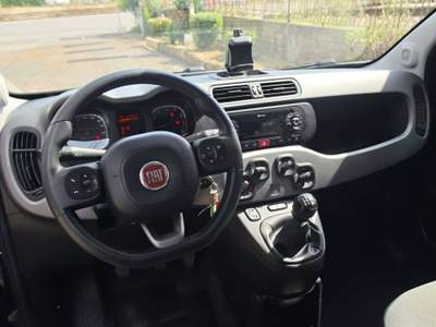 Fiat Panda Panda 1.2 Lounge s Sensori di parcheggio/Bluetooth/Pronta Consegna/Garanzia/ Blu/Azzurro usata Monte Compatri