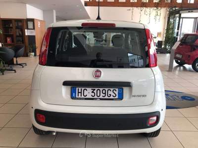 Fiat Panda Pandina III 2024 Pandina 1.0 firefly hybrid Icon s usata Costa Volpino
