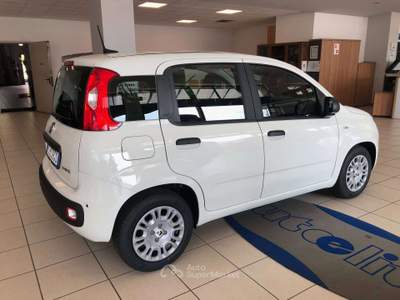 Fiat Panda Pandina III 2024 Pandina 1.0 firefly hybrid Icon s usata Costa Volpino