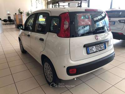 Fiat Panda Pandina III 2024 Pandina 1.0 firefly hybrid Icon s usata Costa Volpino