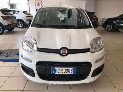 Fiat Panda Pandina III 2024 Pandina 1.0 firefly hybrid Icon s usata Costa Volpino