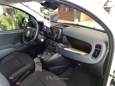 Fiat Panda Pandina III 2024 Pandina 1.0 firefly hybrid Icon s usata Costa Volpino