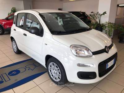 Fiat Panda Pandina III 2024 Pandina 1.0 firefly hybrid Icon s usata Costa Volpino