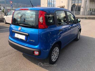 Fiat Panda Pandina III 2024 Pandina 1.0 firefly hybrid Pop s Blu/Azzurro usata Costa Volpino