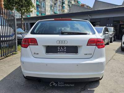 Audi A3 1.6 TDI CR Ambition Sportback Bianco usata Torino