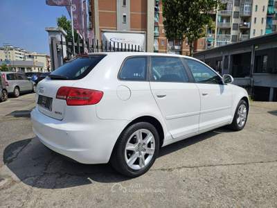 Audi A3 1.6 TDI CR Ambition Sportback Bianco usata Torino