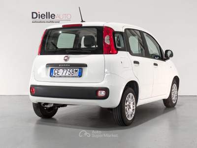 Fiat Panda Panda 1.2 Easy s&s 69cv my19 Bianco usata Borgaro Torinese