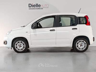 Fiat Panda Panda 1.2 Easy s&s 69cv my19 Bianco usata Borgaro Torinese