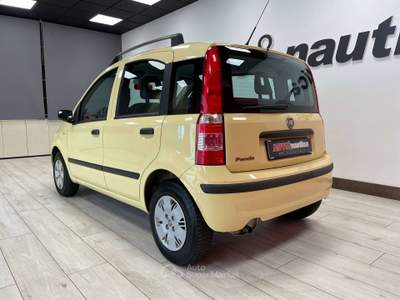 Fiat Panda 1.2 DYNAMIC ECO Giallo usata Mazzano