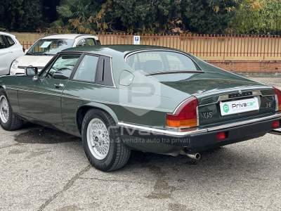 Jaguar XJ JAGUAR XJ-S 3.6 Coupé Verde usata Foligno