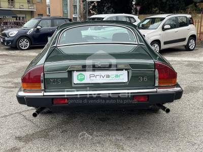 Jaguar XJ JAGUAR XJ-S 3.6 Coupé Verde usata Foligno