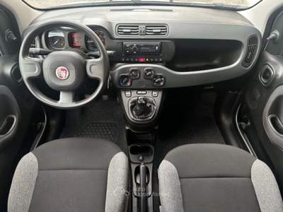 Fiat Panda 1.0 Hybrid 70 Cv Bianco usata Roma