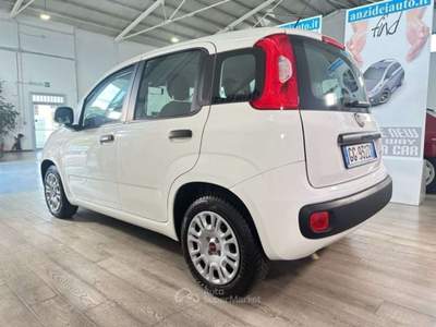 Fiat Panda 1.0 Hybrid 70 Cv Bianco usata Roma