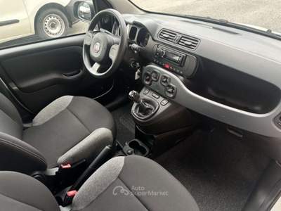 Fiat Panda 1.0 Hybrid 70 Cv Bianco usata Roma