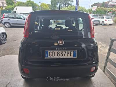 Fiat Panda Lounge Nero usata Castel Gandolfo