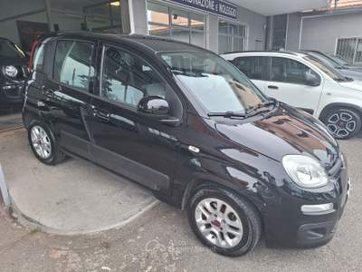 Fiat Panda Lounge Nero usata Castel Gandolfo
