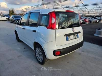Fiat Panda 1.3 mjt 16v Easy Autovettura  95cv - FL101DM Bianco usata Basiliano