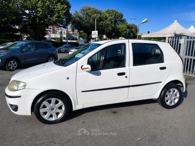 Fiat Punto 1.3 Multijet 16V 5 porte Dynamic Ok Neopatentati Bianco usata Firenze