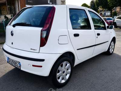 Fiat Punto 1.3 Multijet 16V 5 porte Dynamic Ok Neopatentati Bianco usata Firenze
