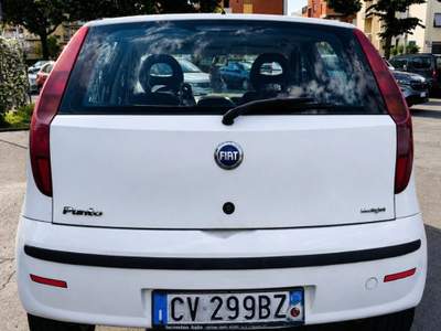 Fiat Punto 1.3 Multijet 16V 5 porte Dynamic Ok Neopatentati Bianco usata Firenze