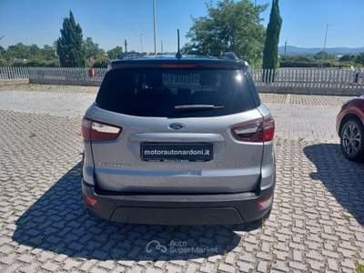Ford EcoSport 1.0 EcoBoost 125 CV Start&Stop Active Grigio usata Cecina