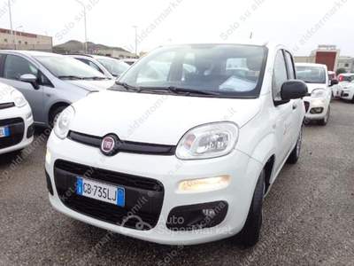 Fiat Panda 1.2 EasyPower Lounge Bianco usata Trebaseleghe