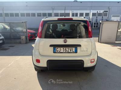 Fiat Panda FireFly S&S Hybrid City Cross Bianco usata Poviglio