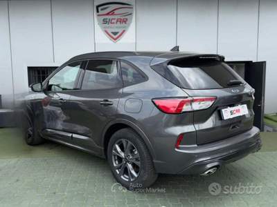 Ford Kuga EcoBlue 120 CV aut. 2WD ST-Line X usata Napoli