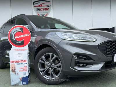 Ford Kuga EcoBlue 120 CV aut. 2WD ST-Line X usata Napoli