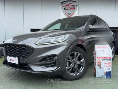 Ford Kuga EcoBlue 120 CV aut. 2WD ST-Line X usata Napoli