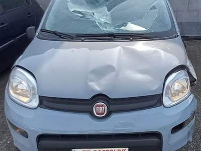 Fiat Panda 1.0 FireFly S&S Hybrid City Life Grigio usata Torino Fiat Panda 1.0 FireFly S&S Hybrid City Life Grigio usata Torino