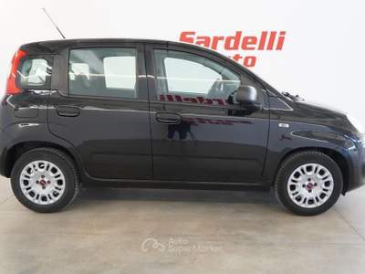 Fiat Panda 1.0 FireFly S&S Hybrid Nero usata San Vito dei Normanni
