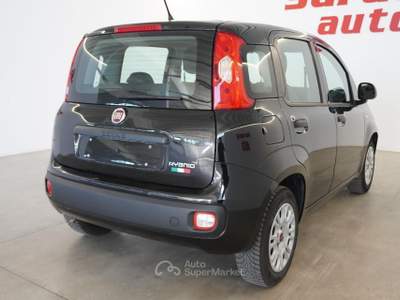 Fiat Panda 1.0 FireFly S&S Hybrid Nero usata San Vito dei Normanni