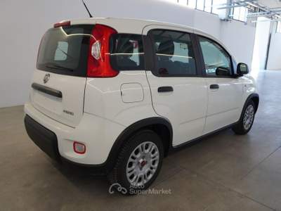 Fiat Panda 1.0 FireFly S&S Hybrid Bianco usata San Vito dei Normanni