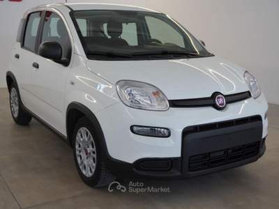 Fiat Panda 1.0 FireFly S&S Hybrid Bianco usata San Vito dei Normanni